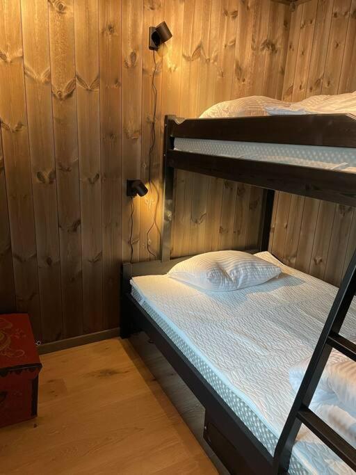 Ski In/Out, Amazing Views, 3 Bedrooms Noresund Ngoại thất bức ảnh